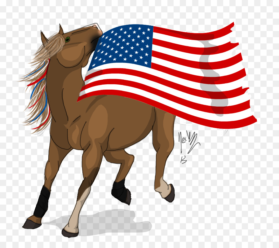 Caballo Con Bandera Americana，Bandera PNG