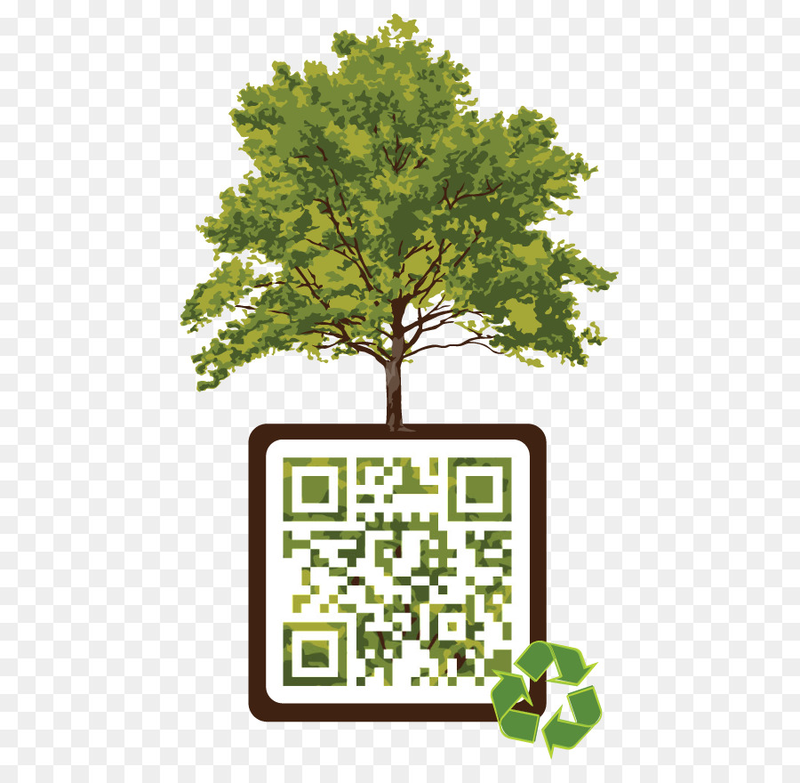 Árbol Con Código Qr，Reciclaje PNG