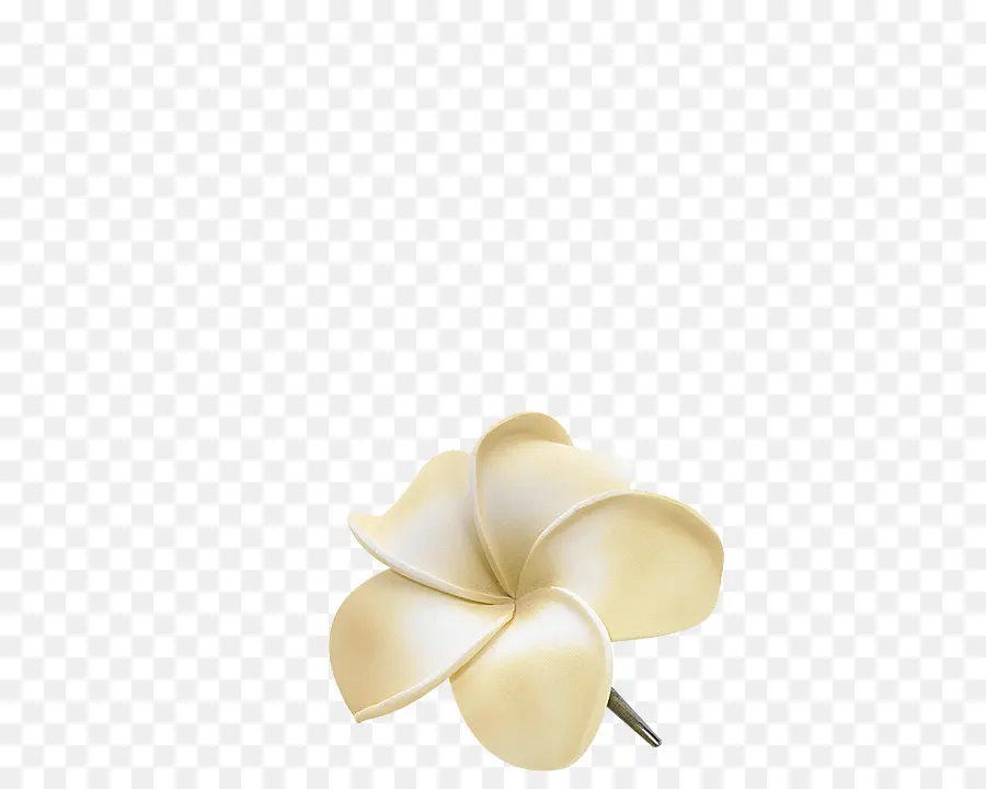 Frangipani，Beige PNG