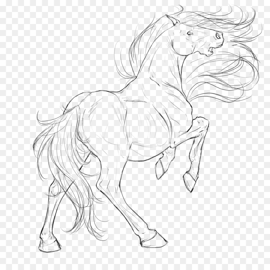 Caballo Blanco，Melena PNG