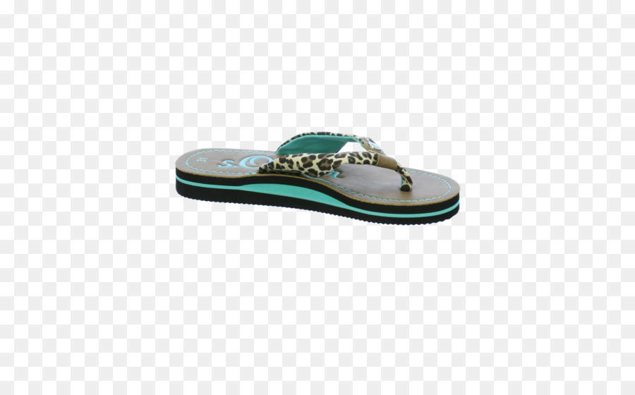 Chancletas，Zapato PNG