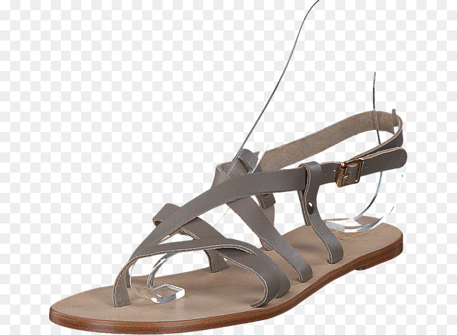 Zapatilla，Zapato PNG