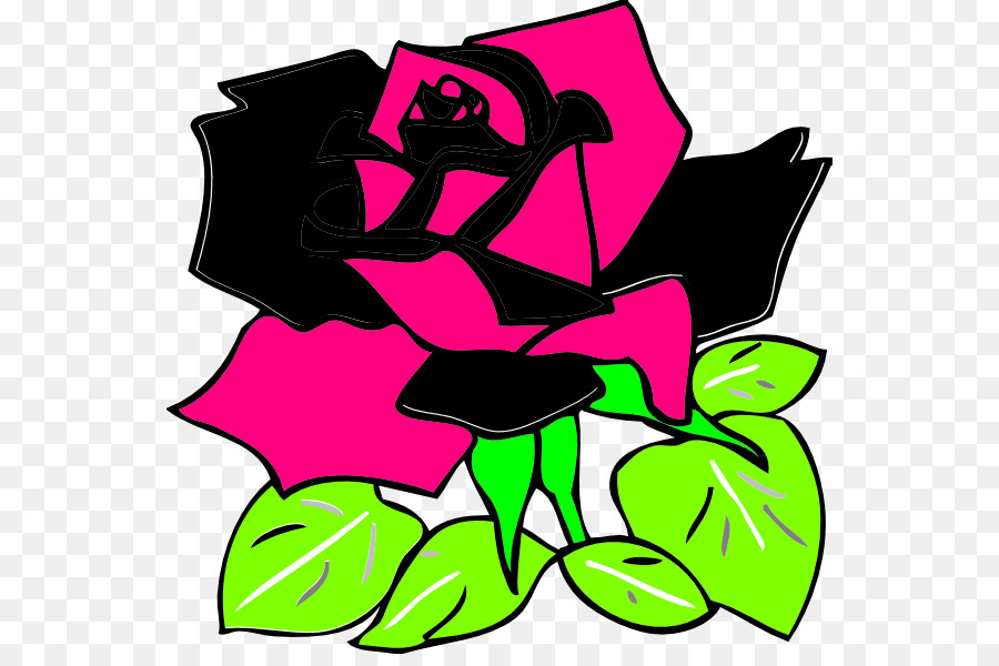 Rosa Negra，Rosa PNG