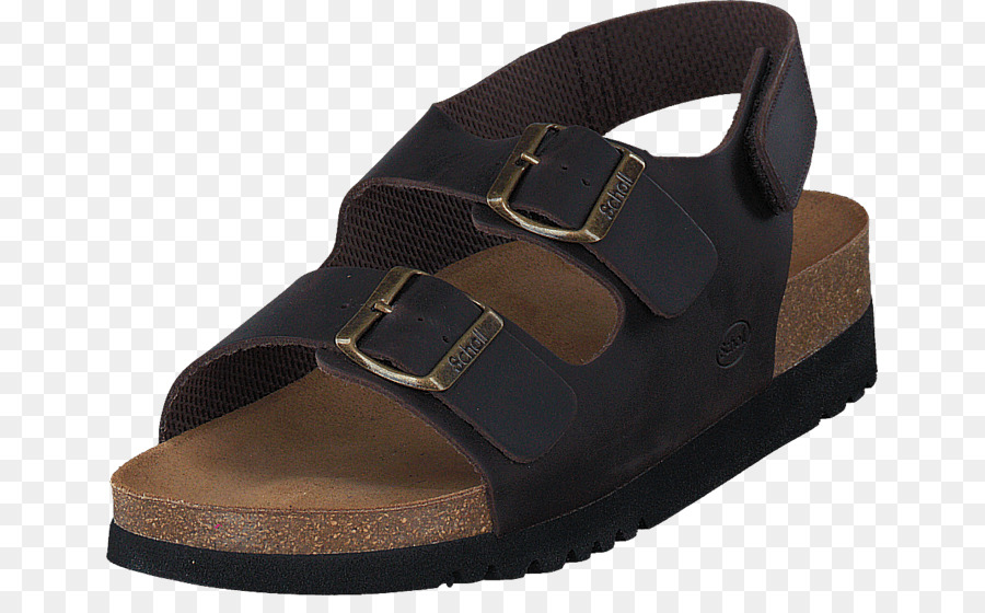 Zapatilla，Sandalia PNG