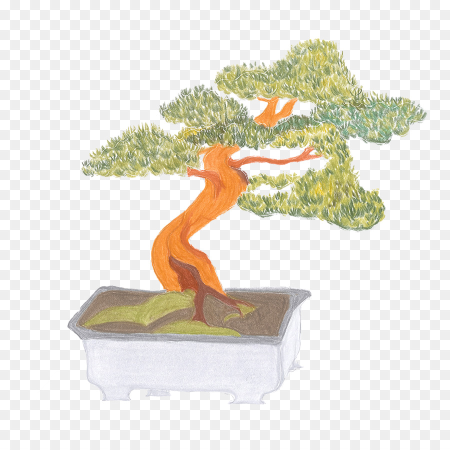 Bonsai，Maceta PNG