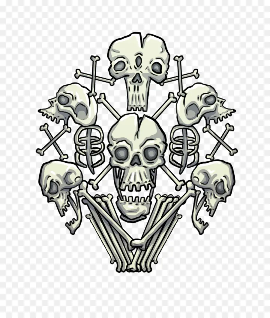 Calaveras Y Huesos，Esqueleto PNG