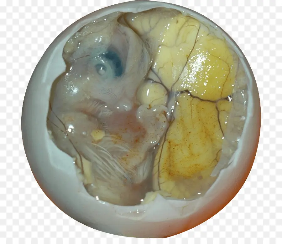 Balut，Filipino Cocina PNG