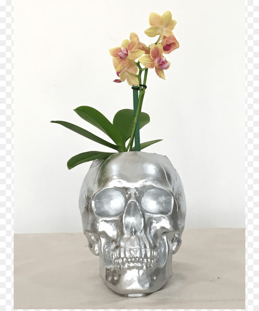 La Polilla De Las Orquídeas，Florero PNG