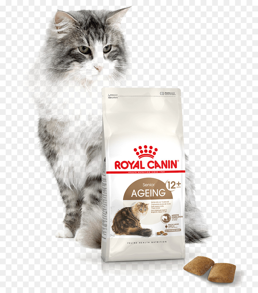 Comida De Gato，Gato Del Bosque Noruego PNG