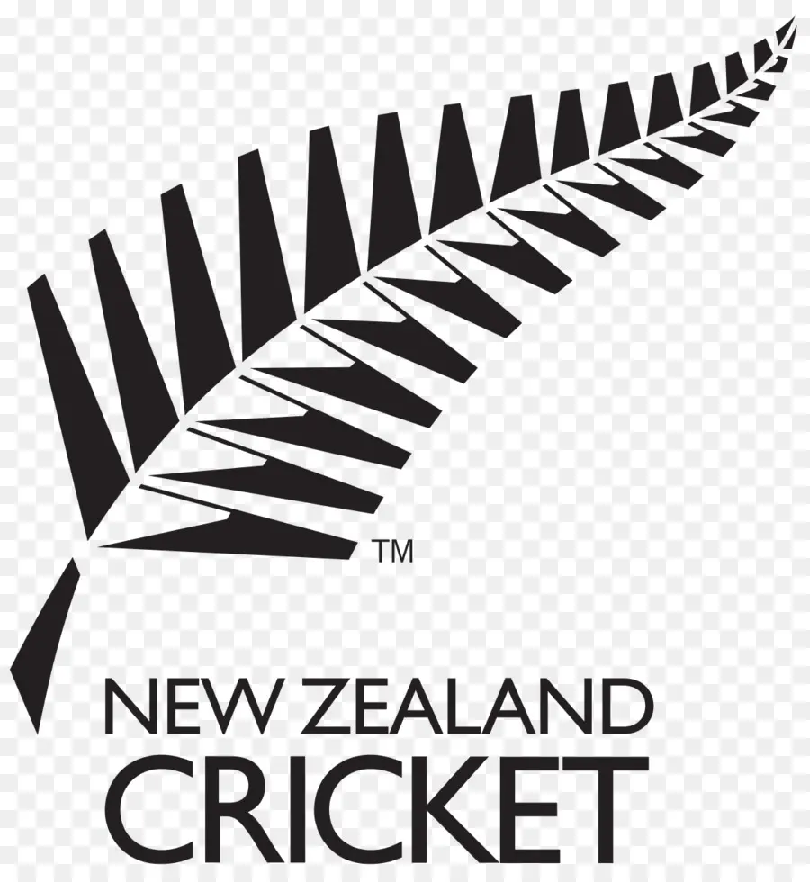 Nacional De Nueva Zelanda Equipo De Cricket，Nueva Zelanda PNG