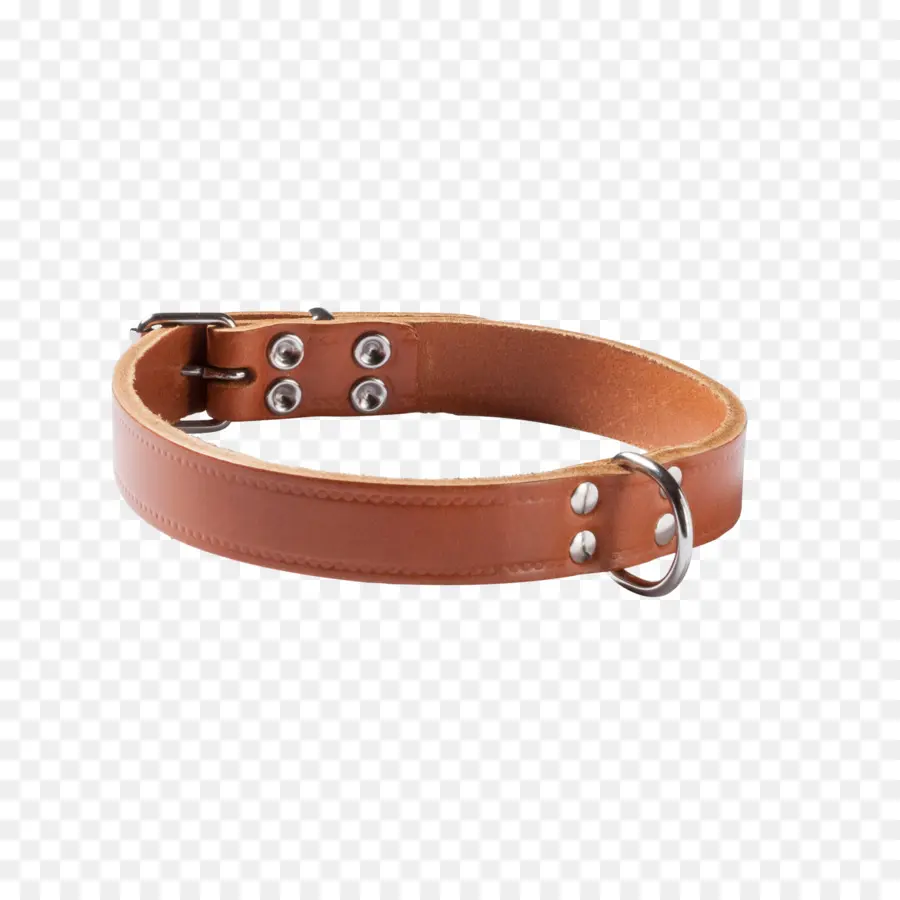 Collar，Collar De Perro PNG