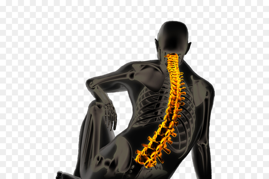 Una Fotografía De Stock，Spondylodiscites Infecciosas Retrospectivo Multicéntrico En Seinesaintdenis De 40 Observaciones 19952001 PNG