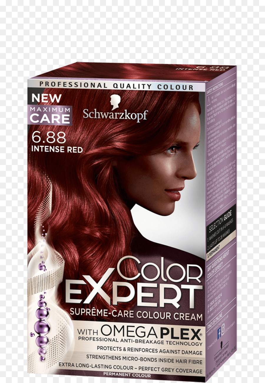 La Coloración Del Cabello，Color PNG