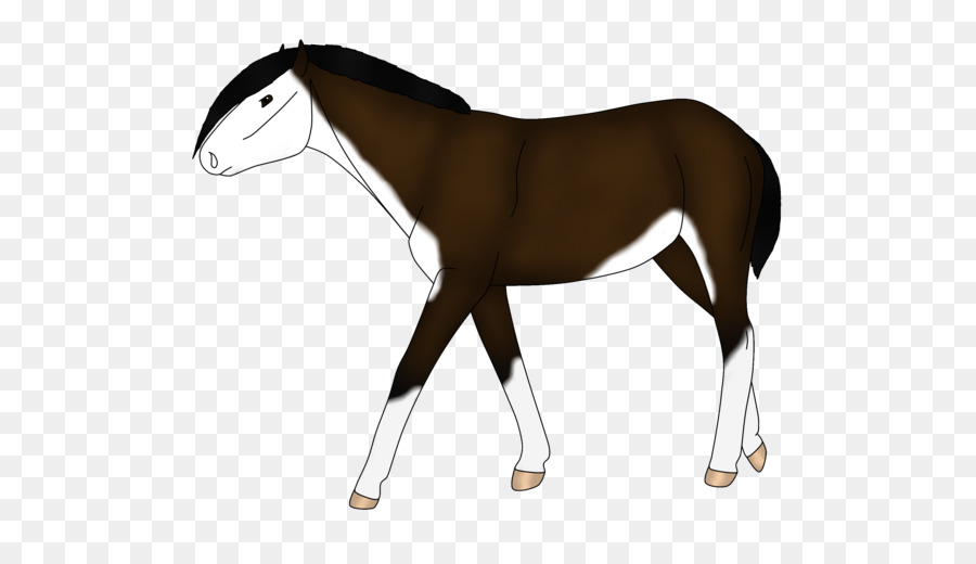 Mustang，Potro PNG