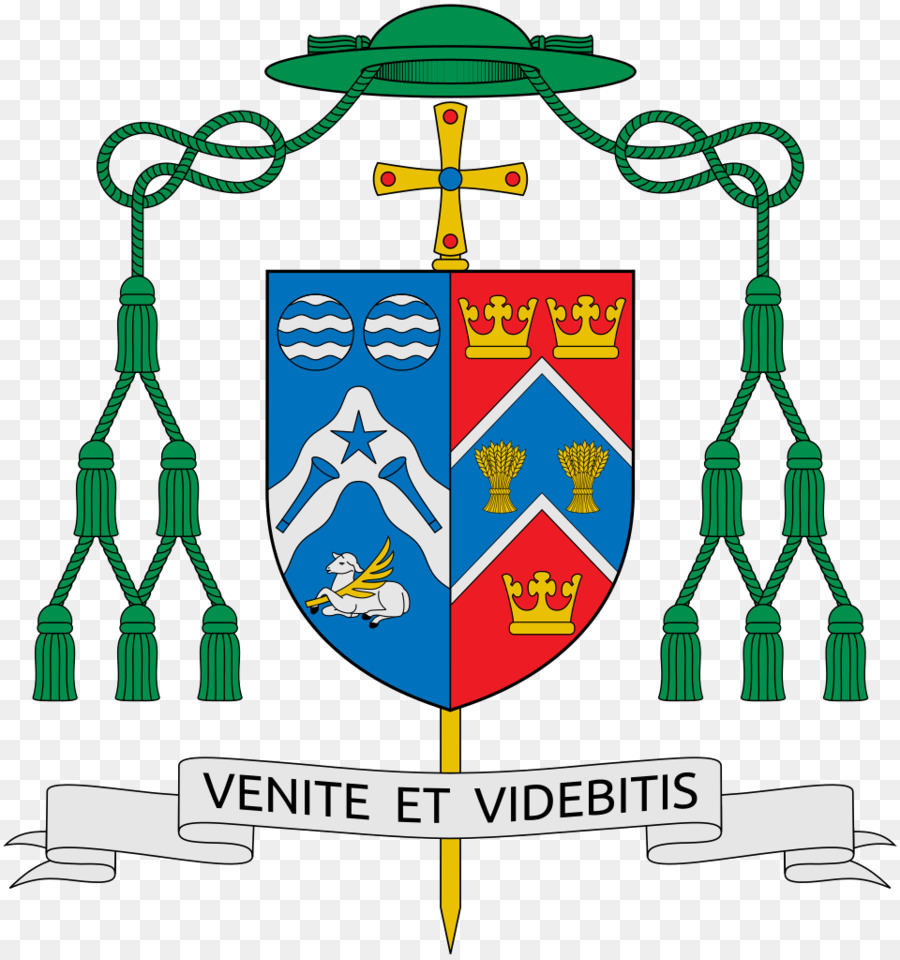 Diócesis De Roma，Pontificia Universidad Lateranense PNG