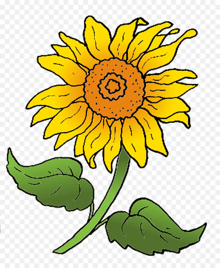 Girasol，Amarillo PNG