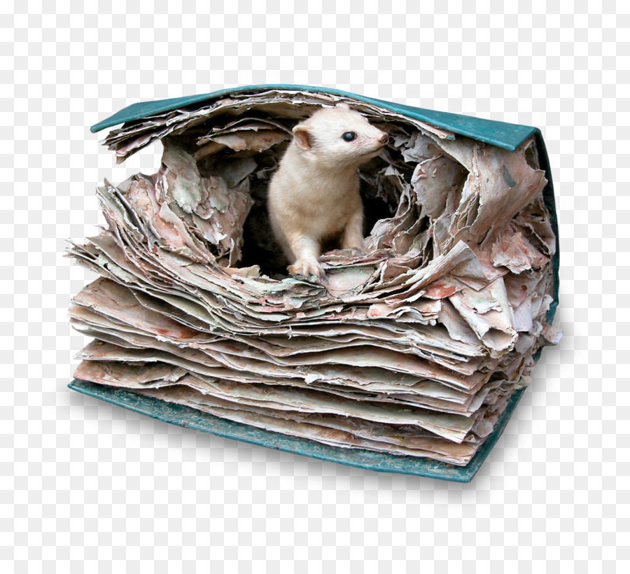 Escultura De Libro，Animal PNG