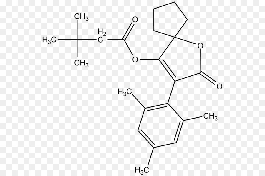 Estructura Química，Molécula PNG