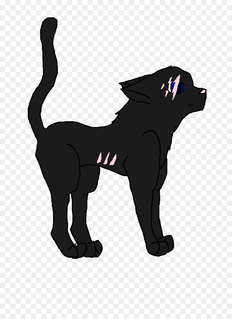 Gato Negro，Gato PNG