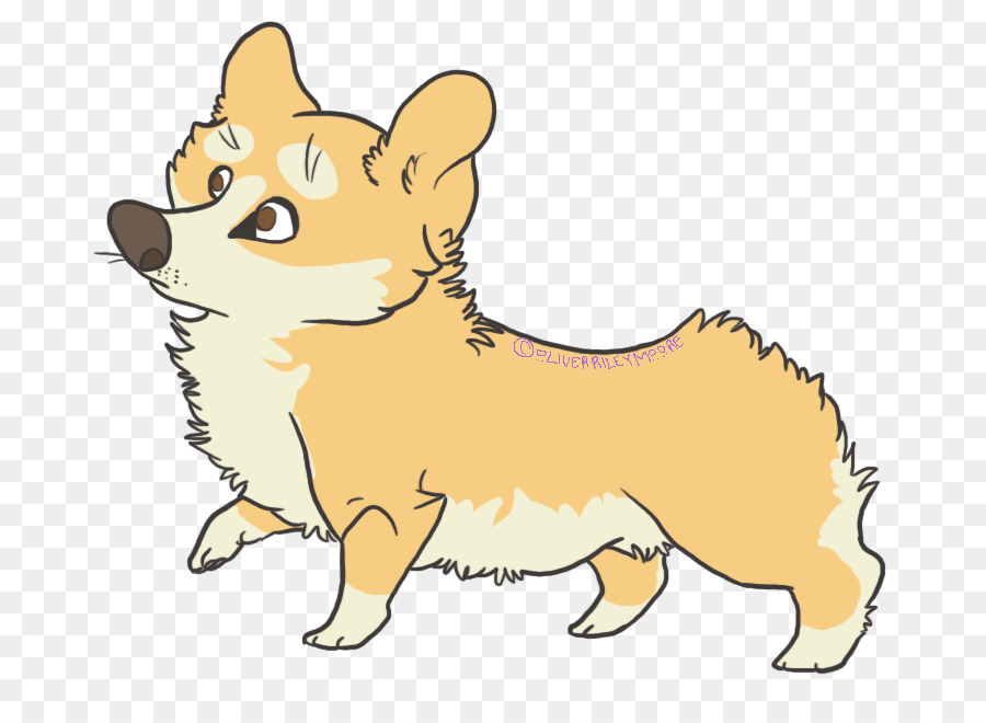 Bigotes，Cachorro PNG