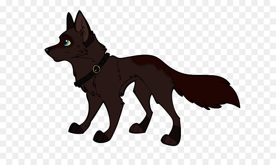 Schipperke，Zorro Rojo PNG