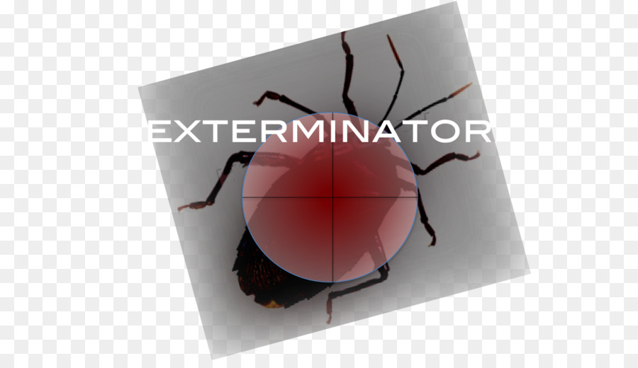 Error Exterminador，Ciencias De La Computación PNG