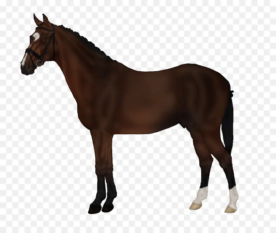 Los Sims 3 Mascotas，Caballo PNG