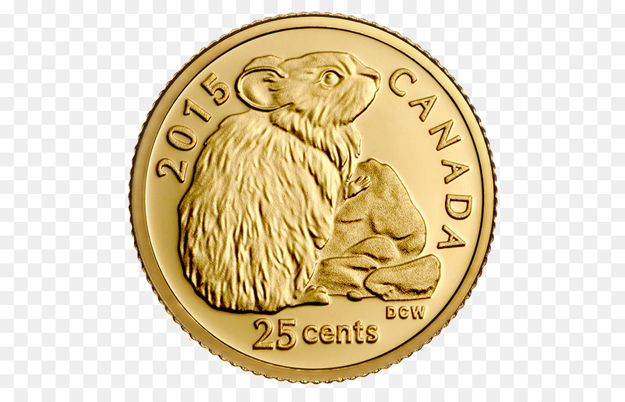 Moneda，Oro PNG