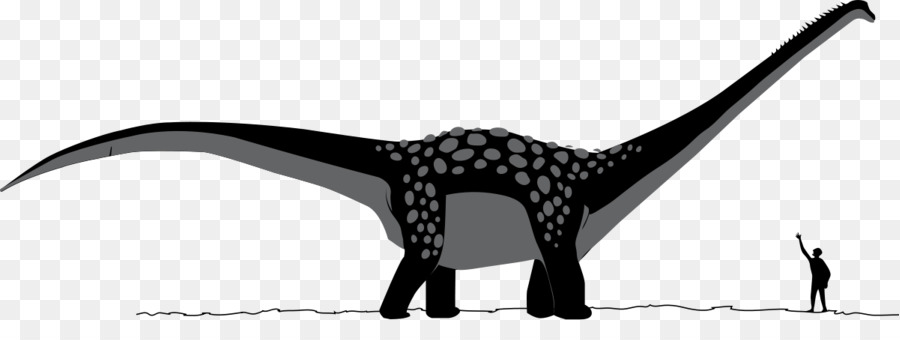 Antarctosaurus，Apatosauro PNG