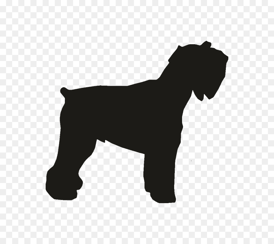 Schnauzer Miniatura，Raza De Perro PNG