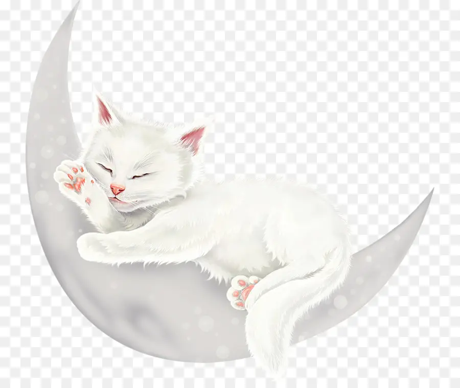 Gato Durmiendo，Luna PNG