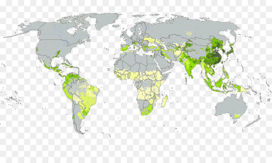 Mundo，Mapa Del Mundo PNG