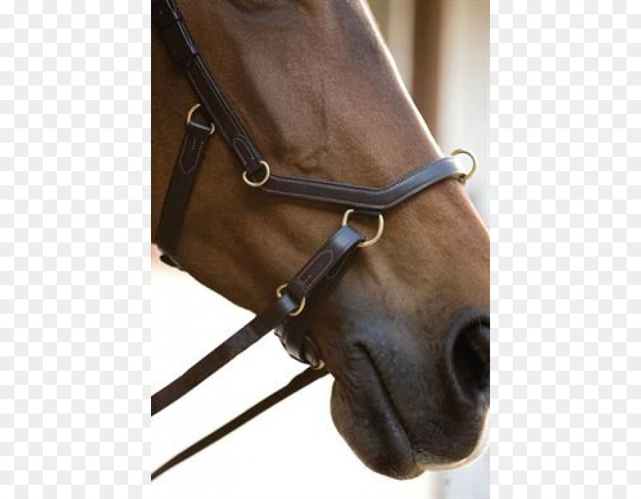 Brida，Bitless Bridle PNG