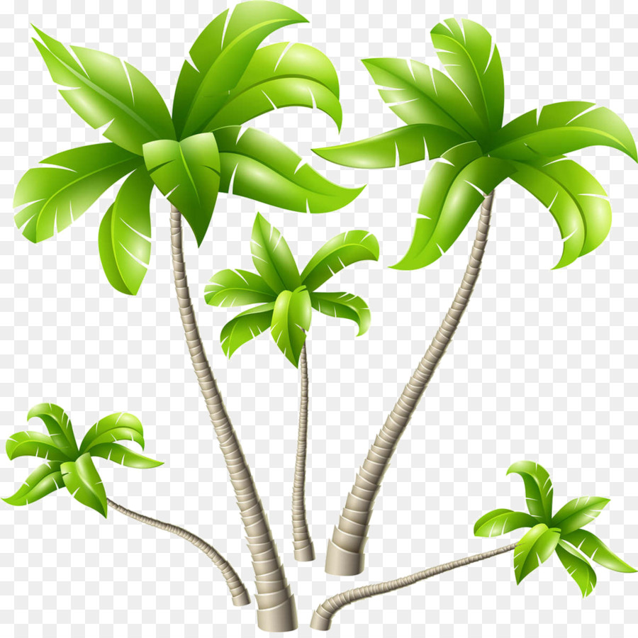 Árbol，Papel PNG