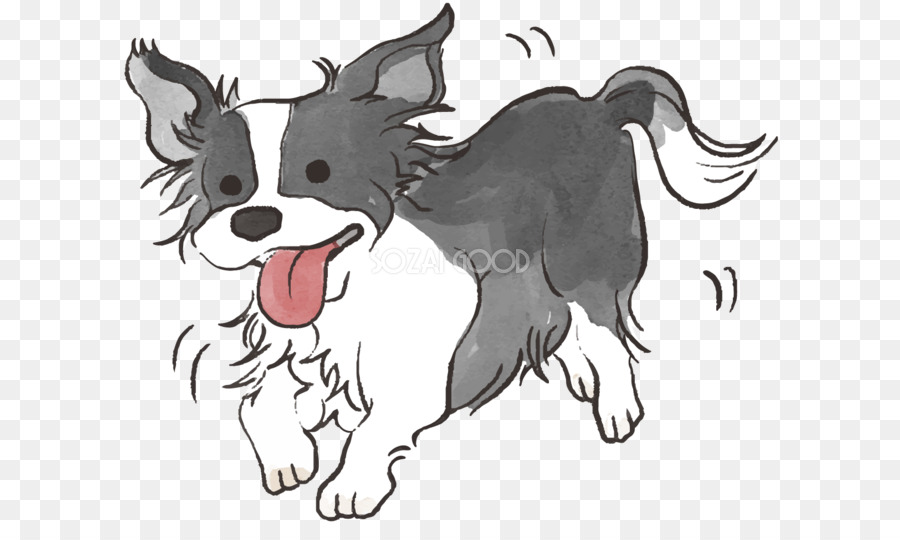 Raza De Perro，Cachorro PNG