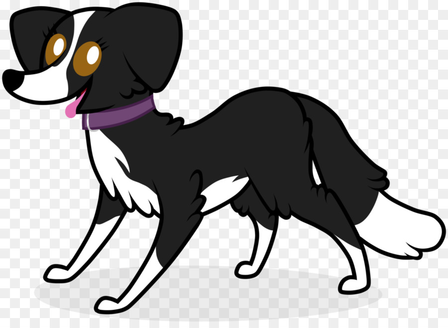 Border Collie，Cachorro PNG