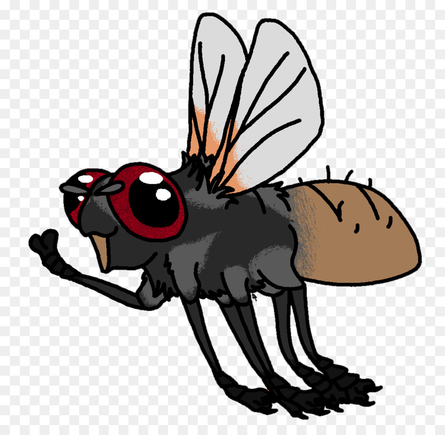 Los Insectos，Caballo PNG