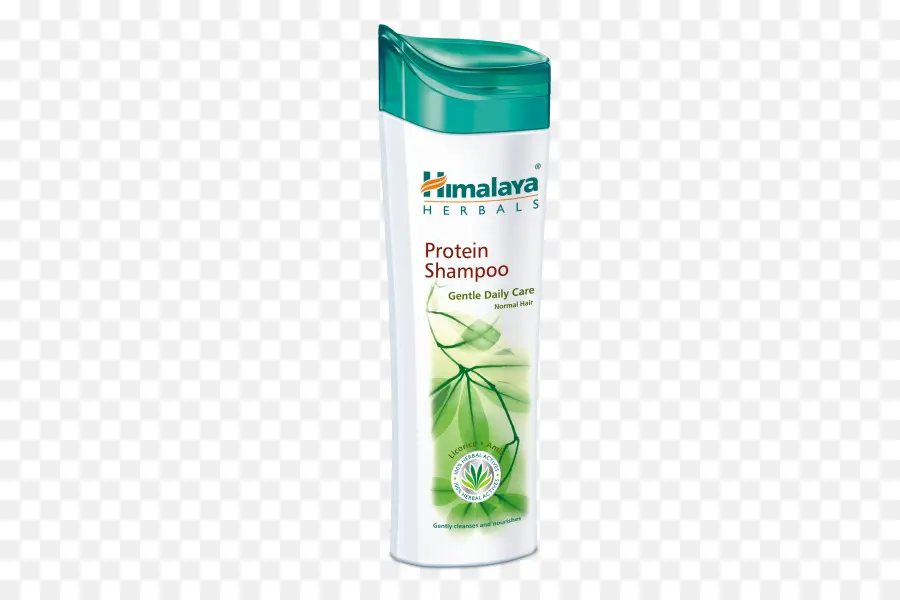 Champú，Cabello PNG