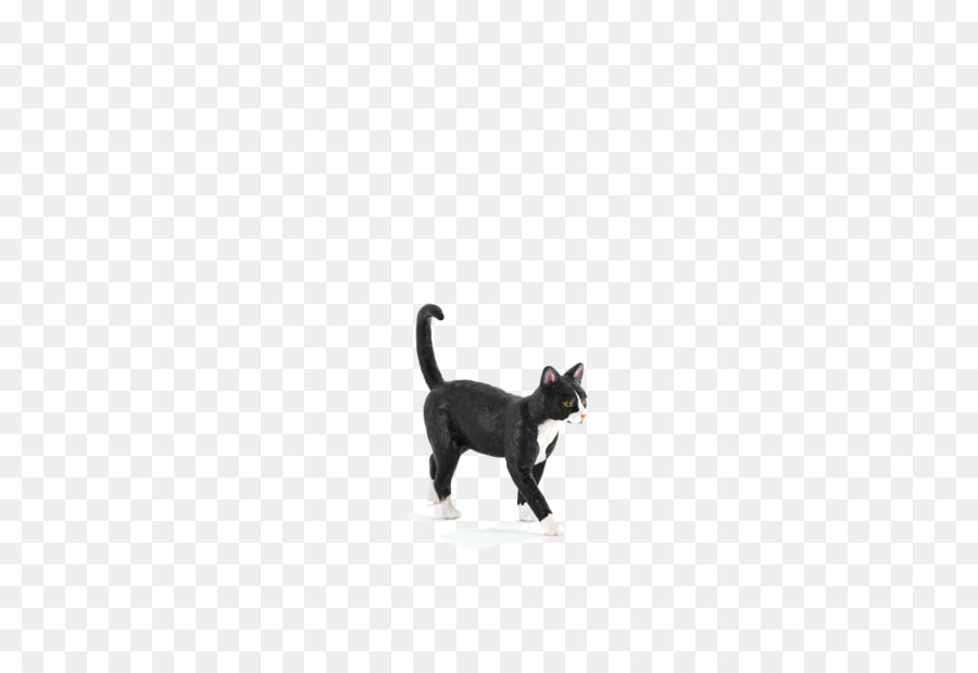 Gato Negro，Gatito PNG