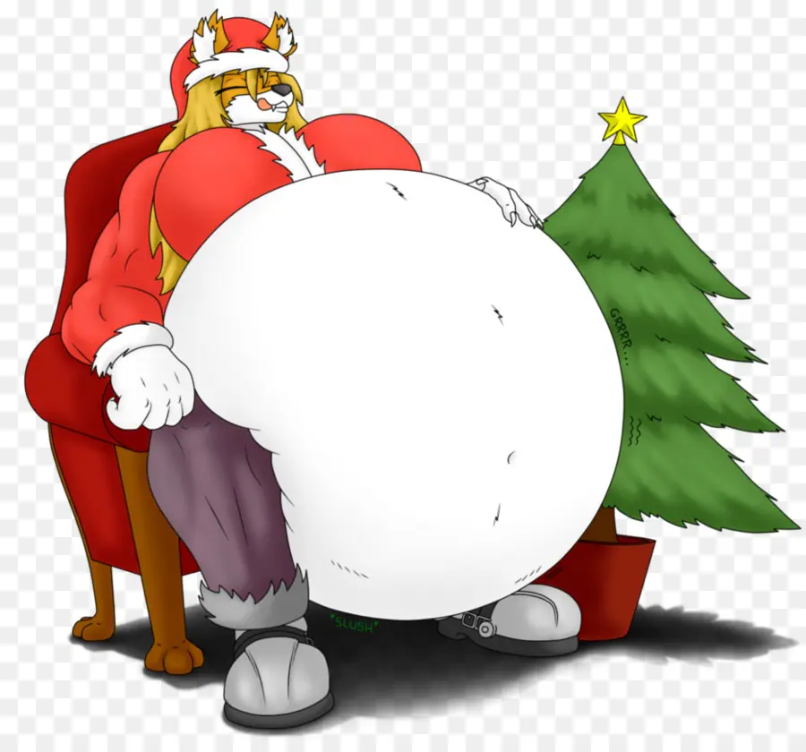 Papá Noel，Gato PNG