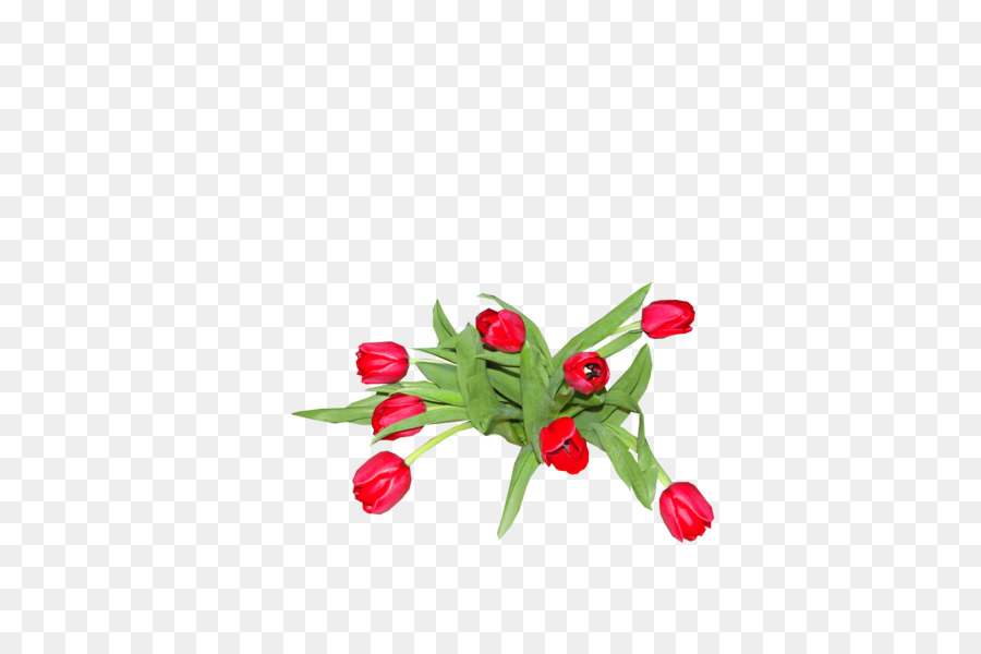 Tulipanes Rojos，Tallos Verdes PNG