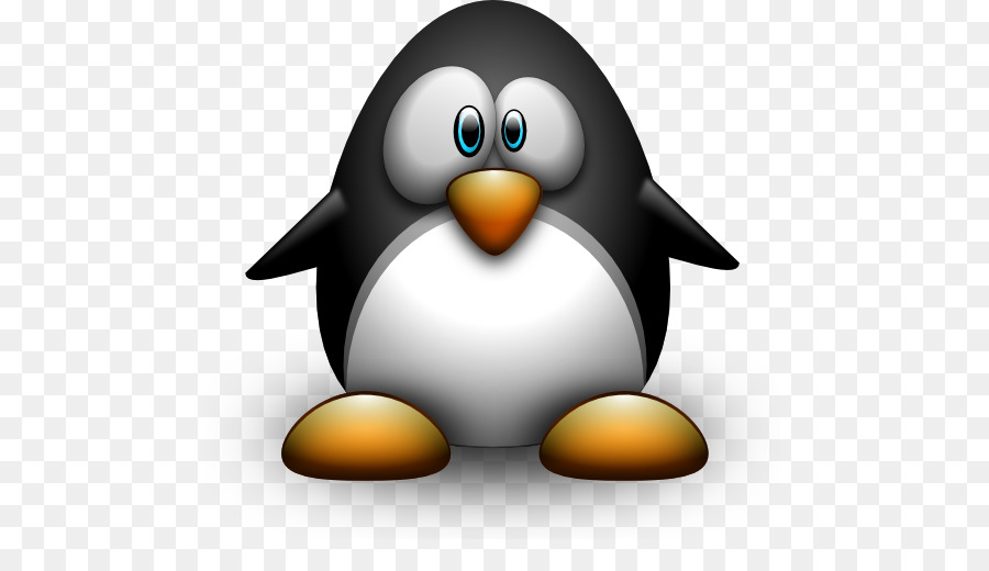 Pingüino，Razorbill PNG