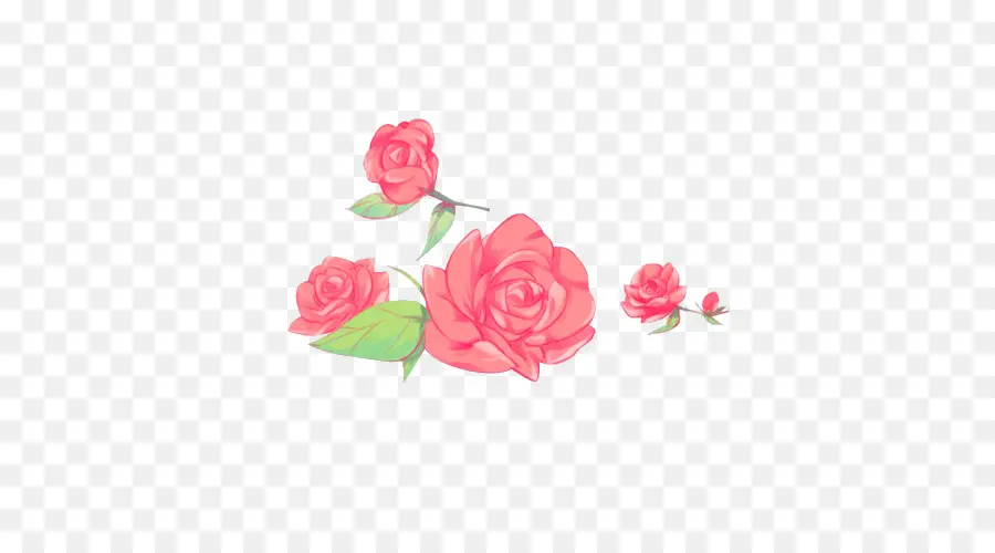 Rosas Rosadas，Ramo PNG