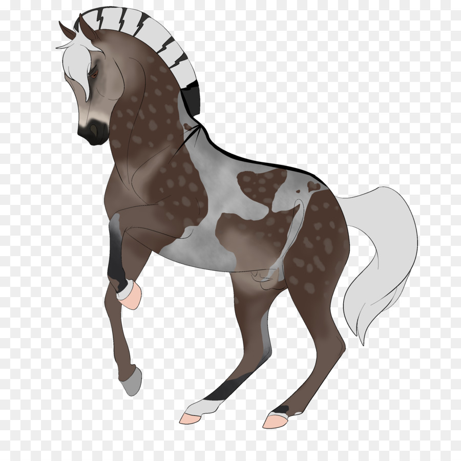 Caballo Corriendo，Animal PNG