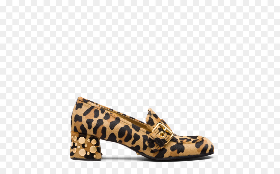 Zapato，Leopardo PNG