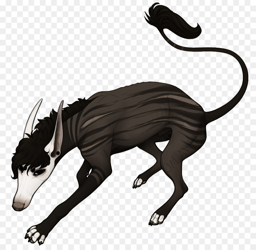 Perro，Gato PNG