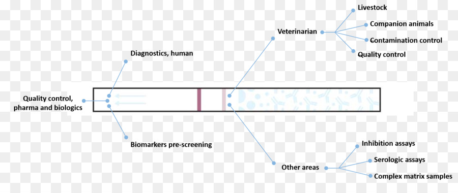 Cuadro De Diagnóstico，Biomarcador PNG