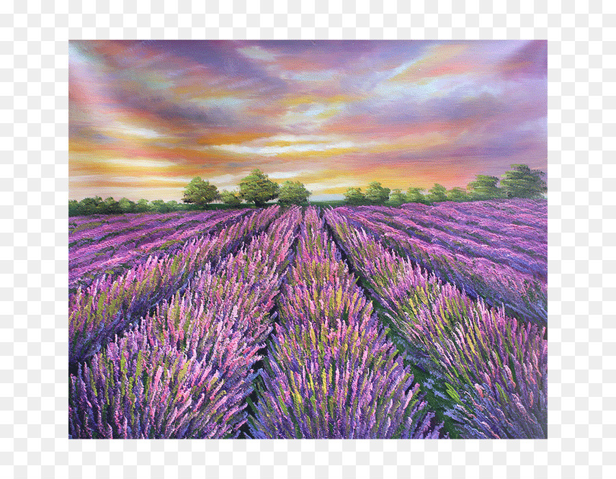 Inglés Lavanda，Pintura Al óleo PNG