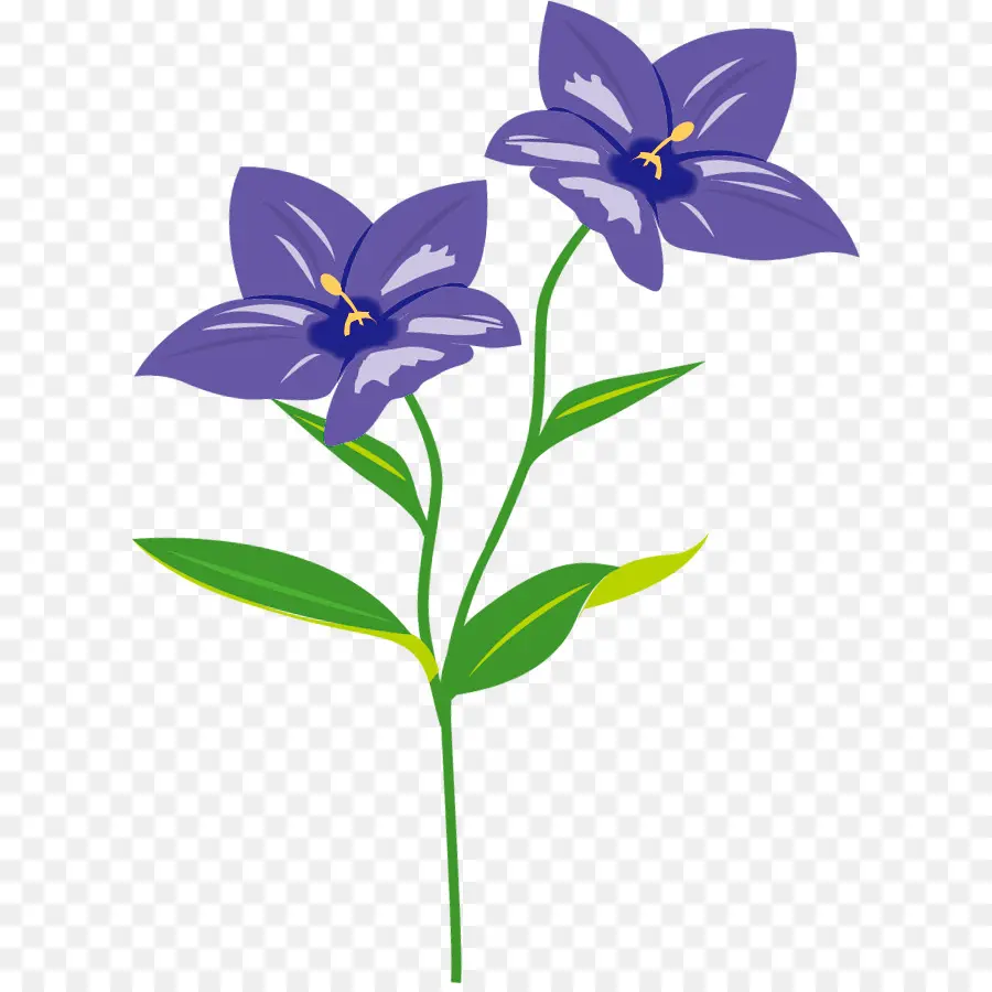 Flores Moradas，Florecer PNG