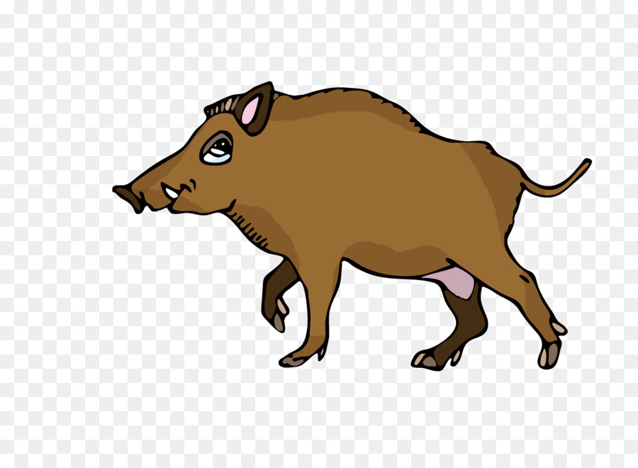 Cerdo Doméstico，Los Cerdos PNG